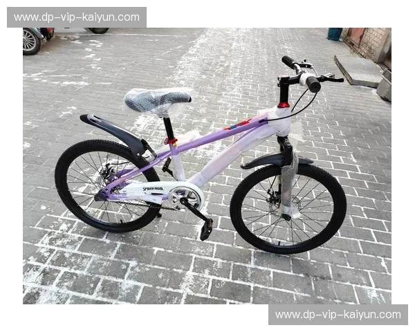 山地车官方网站—发现越野自由的新入口