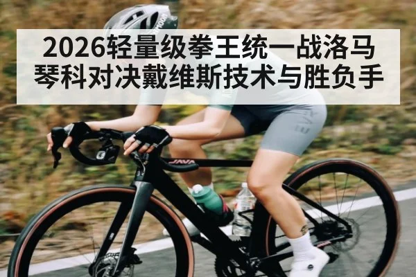 2026轻量级拳王统一战洛马琴科对决戴维斯技术与胜负手（kaiyun）